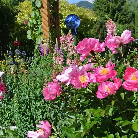 Alpenperle Lägenhet